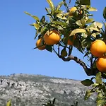 Masseria Refrigerio Hotel