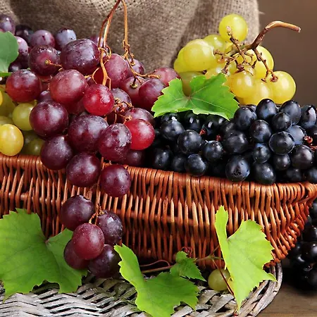 Отель Masseria Refrigerio Остуни