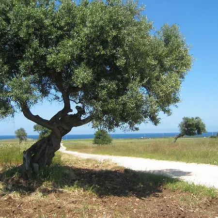Отель Masseria Refrigerio 3*