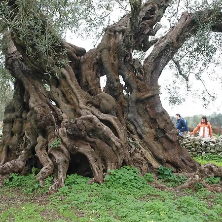 Masseria Refrigerio فندق أوستوني