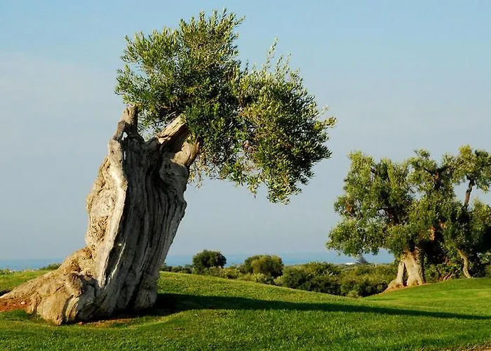 Masseria Refrigerio Hotel 3*