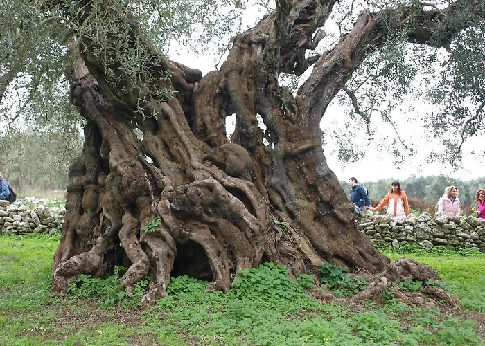 Masseria Refrigerio Hotel Ostuni