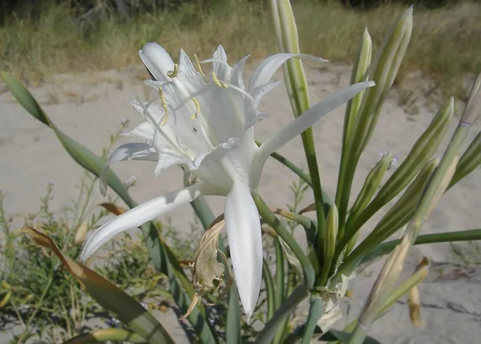 Masseria Refrigerio Hotel