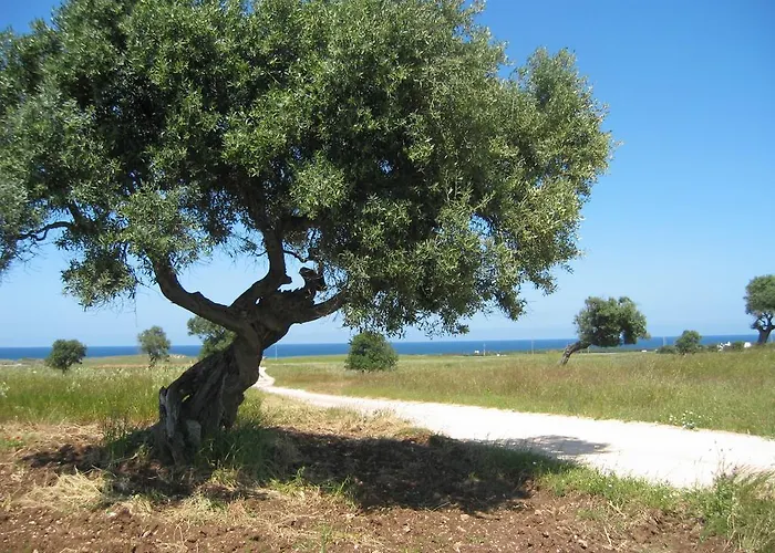 Hotel Masseria Refrigerio 3*